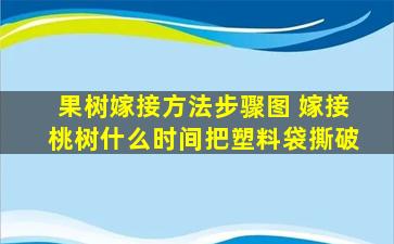 果树嫁接方法步骤图 嫁接桃树什么时间把塑料袋撕破